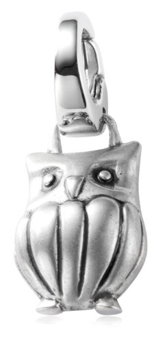 FOSSIL JF85410040 Charm Anhänger Vintage Eule Erfahrungsbericht Charms