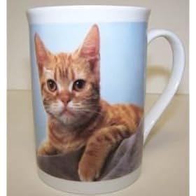 607742C Coffee Mug Red Tabby Cat 4in by Cat Supplies