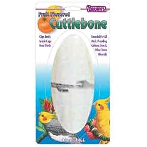 4PK Fruit Cuttlebone – Extra Large (Catalog Category: Bird / Cuttlebones Holders)