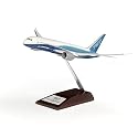 787-8 Special Edition Model