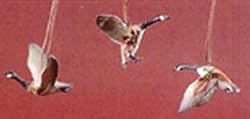 Pack of 12 Nature's Story Teller Geese Figure Christmas Ornaments