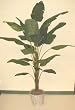 7' Artificial Traveler Palm Tree