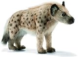 Hyena Walking 13