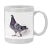 Photo Mug of Carrier / Racing / Homing PIGEON - in studio from Ardea