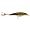 Female Bluegill