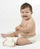 Drybees Bamboo Cloth Diapers (size 2)