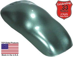 Sage Green Metallic ACRYLIC ENAMEL Car Auto Paint Kit