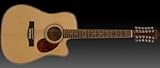 Freshman FA1DCE12 Electro Acoustic Dreadnought 12 String Guitar