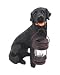 Black Labrador Retriever Solar Garden Light Dog Lab