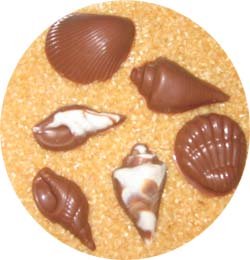 Chocolate Seashells Varied Shapes -1 Dozen