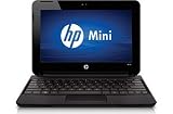 HP Mini 110 with 250GB HD; 1GB Memory