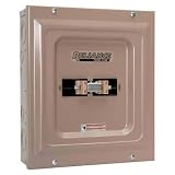 Reliance Generator Transfer Switch - 60 Amp, 240 Volt