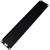 19" W Flanged Economical Blank Panel