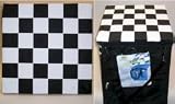 Checkered Versatile 14 x 14 x 1.5 Seat Cushion / Tote (Set of 2)