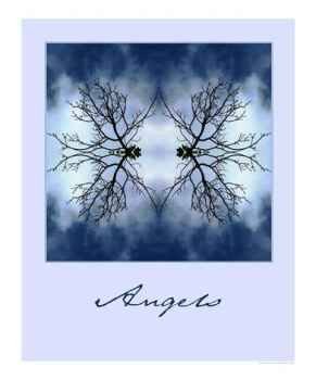 Angels Seasons Photographic Poster Print by Bobby W. Baker, 8x10