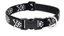 Lupine Large Dog Collar - Bling Bonz 18-31"