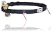 Fuelbelt Gel-Ready Race Number Belt