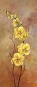 Japanese Style II Botanical Art Poster Print by Fasani, 8x20