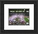 Framed Super Bowl XLII New York Giants Photograph