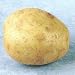 Seed Potato Maris Peer 1Kg