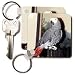 African Grey Parrot - Set Of 4 Key Chains