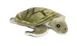 WWF ウミガメ 2003 S