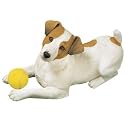 Life Size - Jack Russell Terrier, Smooth, White/Brown