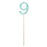 Glow-in-the-Dark House Number - 9
