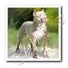 Dogs Pitbull - American Pit Bull Terrier - Iron on Heat Transfers