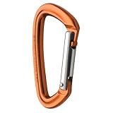 Black Diamond Positron (Straight or Bent Gate) Carabiner