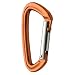 Black Diamond Positron (Straight or Bent Gate) Carabiner