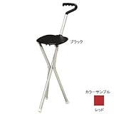 SPORTSEAT(スポーツシート) スポーツシートミニ レッド 48126