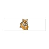 21 x 7 Wall Vinyl Sticker Bengal Tiger Youth