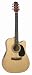 Jasmine ES45C Acoustic-Electric Guitar