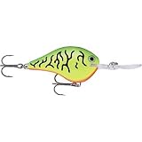 Fishing: Rapala DT Fat Crankbaits