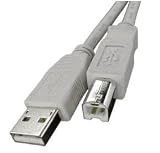 Curtis 10' USB AB Device USBA/USBB Male to Male