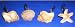 Scuba Jewels Sea Shells and Star Fish Hand-Painted Resin Shower Curtain Hooks Image