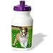 image 4 - Dogs SheltieShetland Sheepdog Sheltie Poppy Water Bottles