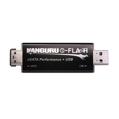 64G E-flash Drive Esata & USB2