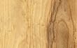 NATURAL BIRCH Rotary Cut Veneer 2'X4' [CAPITOL CITY LUMBER]