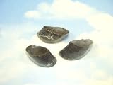(35) Large Natural Cow Hooves