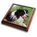 Dogs Border Collie - Border Collie - Trivets