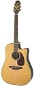 Takamine TAN15C Supernatural Series Acoustic-Electric Guitar with Cool Tube Preamp, Gloss Natural