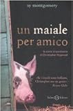Un maiale per amico Medium