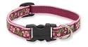 Cherry Bloosom - Lupine Adjustable Collars Small 1/2 in. x 10 in. - 16 in.