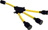Extension Cords: Twist-to-Lock 3-Outlet 12/3 Power Cord 