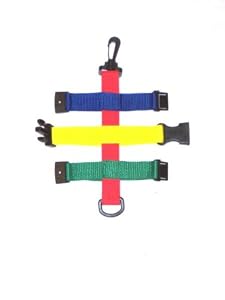 Buckle Puzzle Jr