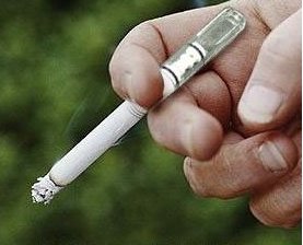 Permanent Filter System - CIGARETTE FILTER TIPS (non