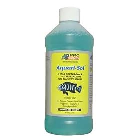 Aquarium Products Aquari-Sol Freshwater Aquarium Treatment, 16-Ounce by Aquarium Products