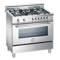 Bertazzoni : Professional X365GGVX 36in Pro-Style Gas Range